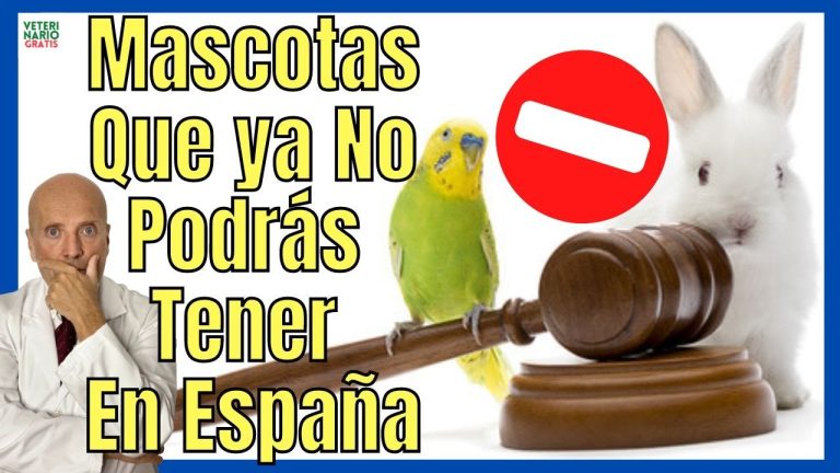 La importancia de legalizar animales protegidos: todo lo que debes saber