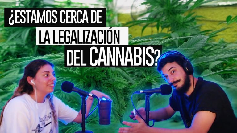 Legalizar Autocultivos: Por qué debería ser permitido y cómo puede beneficiar a la sociedad