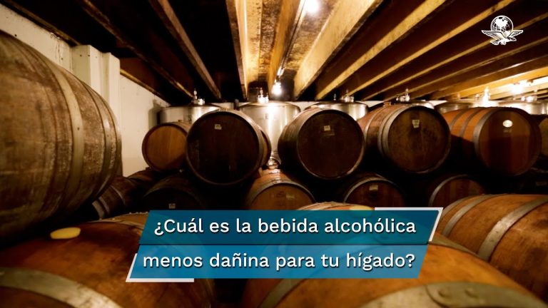 Beneficios económicos y sociales de legalizar la bebida alcohólica en la sociedad